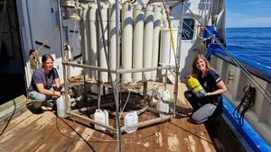 Dr Catarina V. Guerreiro,  MARE – Marine and Environmental Sciences Centre