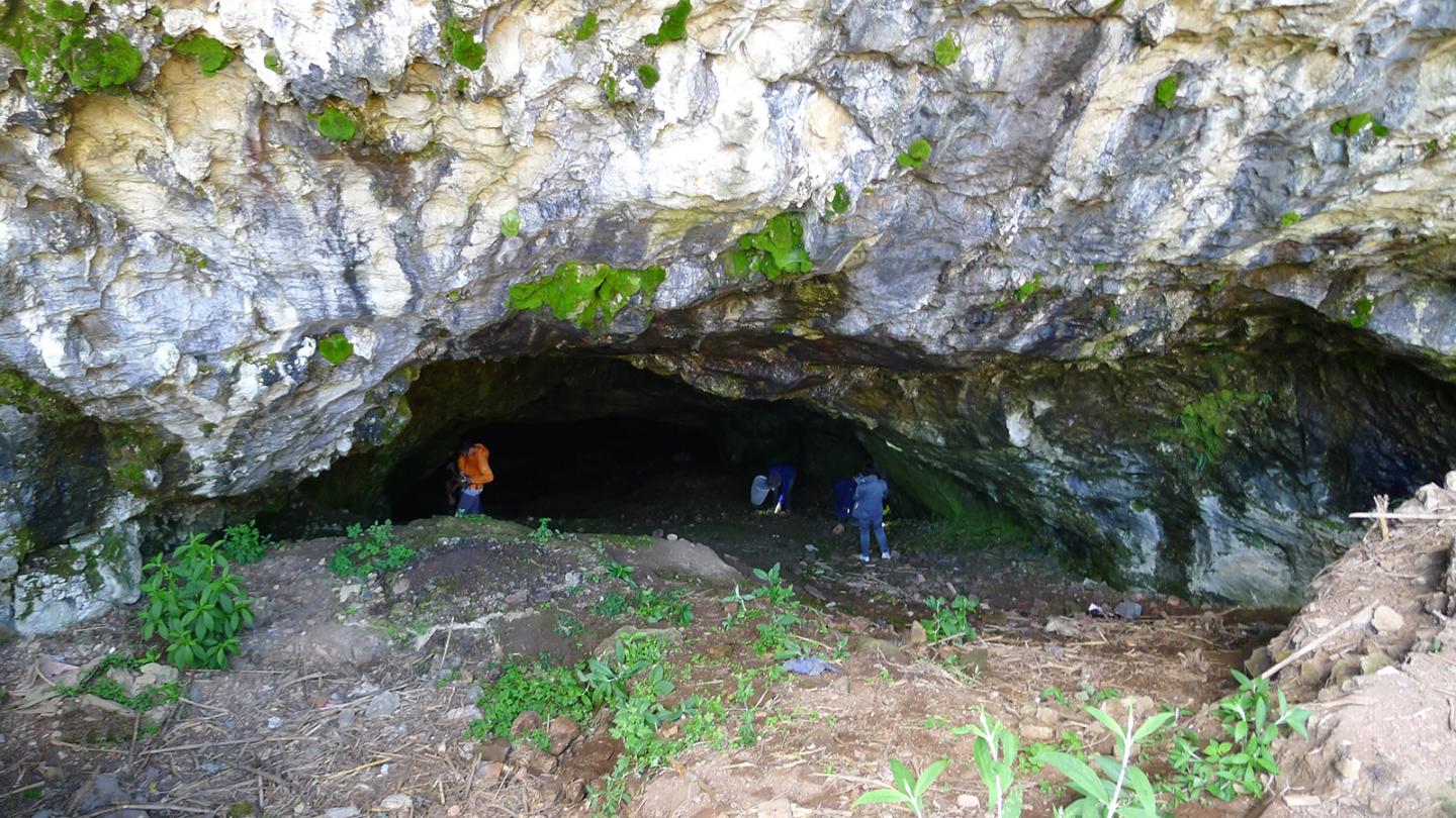 Type Locality, Gaofeng Village, China