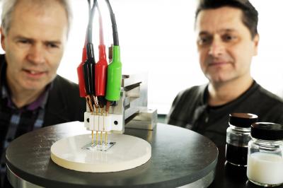 Professors Cor Koning and Paul van der Schoot, Eindhoven University of Technology 