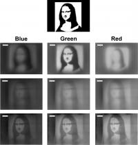 Metalens Mona Lisa Figure
