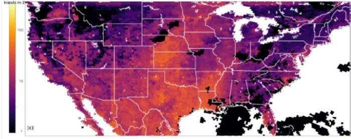 Density of flying insects on a typical summer day