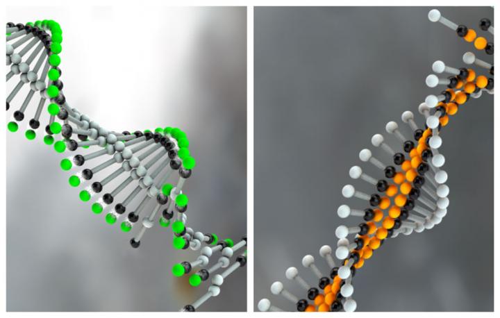 Formation of Electronic Nanowires