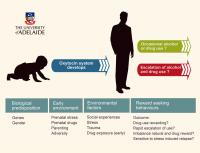 Oxytocin System and Addiction -- Web Version