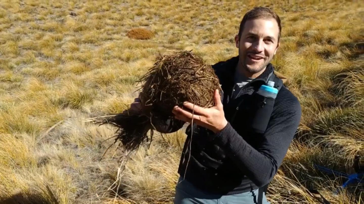 Dr Nick Foster with a hibernating hedgehog