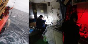 Arctic plankton collection and analysis