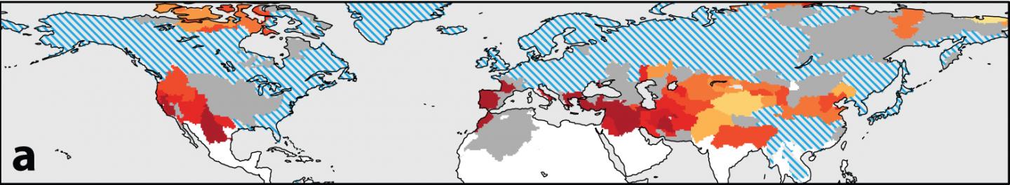 High-Risk Areas