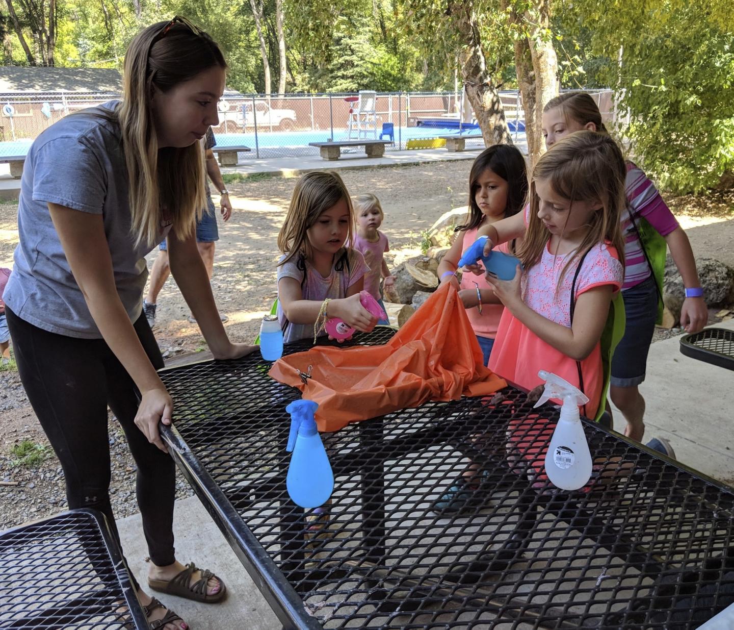 Geologist STEM Ambassador Watershed Summer Camp