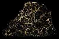 Trace Fossil in Sediment (2 of 2)