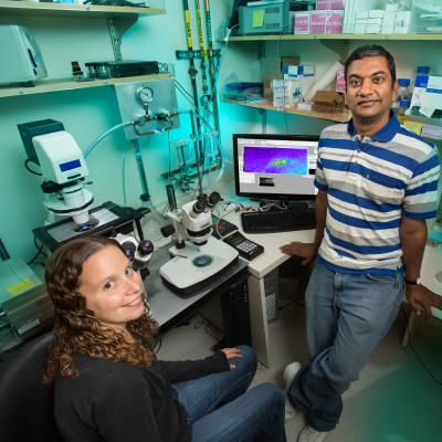 Sarah Leinwand, University of California, San Diego, and Sreekanth Chalasani, Salk Institute