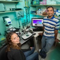 Sarah Leinwand, University of California, San Diego, and Sreekanth Chalasani, Salk Institute