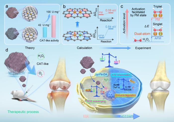 Iron Dual-atom Nanozyme Shows Promise for Treating Rheumatoid Arthritis