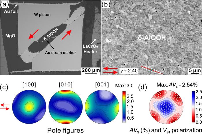 Microstructure, CPO, and shear-wave anisotropy of shear-deformed δ-AlOOH