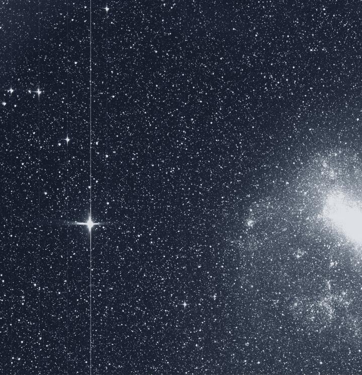 TESS First Light: Large Magellanic Cloud and R Doradus