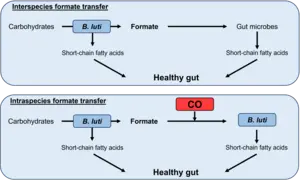 Formate as a taxi for electrons