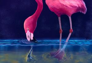 Flamingos create water vortices to capture prey