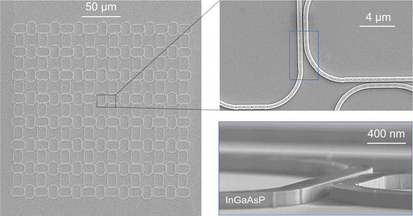 Microscope Images of Photonic Topological Insulator