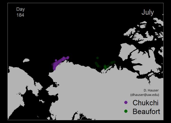 Animated Migration Routes