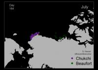 Animated Migration Routes