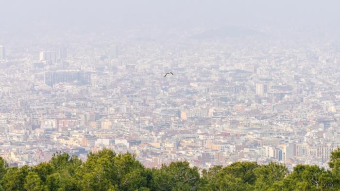 Air Pollution in Barcelona, Spain
