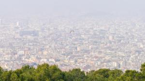 Air Pollution in Barcelona, Spain