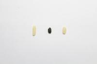 Single Grains
