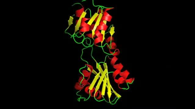 How Heavy Metals Are Escorted into Cells