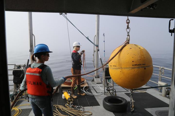Cordell Bank sound monitoring