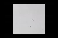Video: Rod-Shaped Nanorobot
