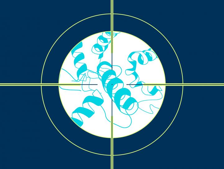 Protein Target