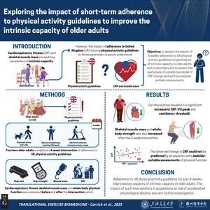 Infographic of the entire 4-week interventional study