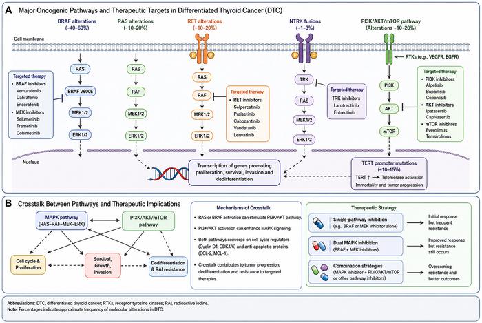 The dual axis of tumorigenesis: MAPK and PI3K/AKT pathways in papillary thyroid carcinoma
