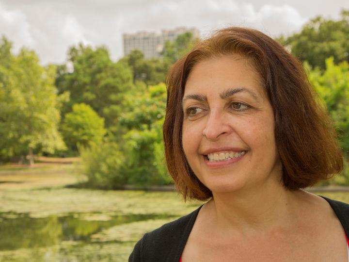 Hanadi Rifai, University of Houston