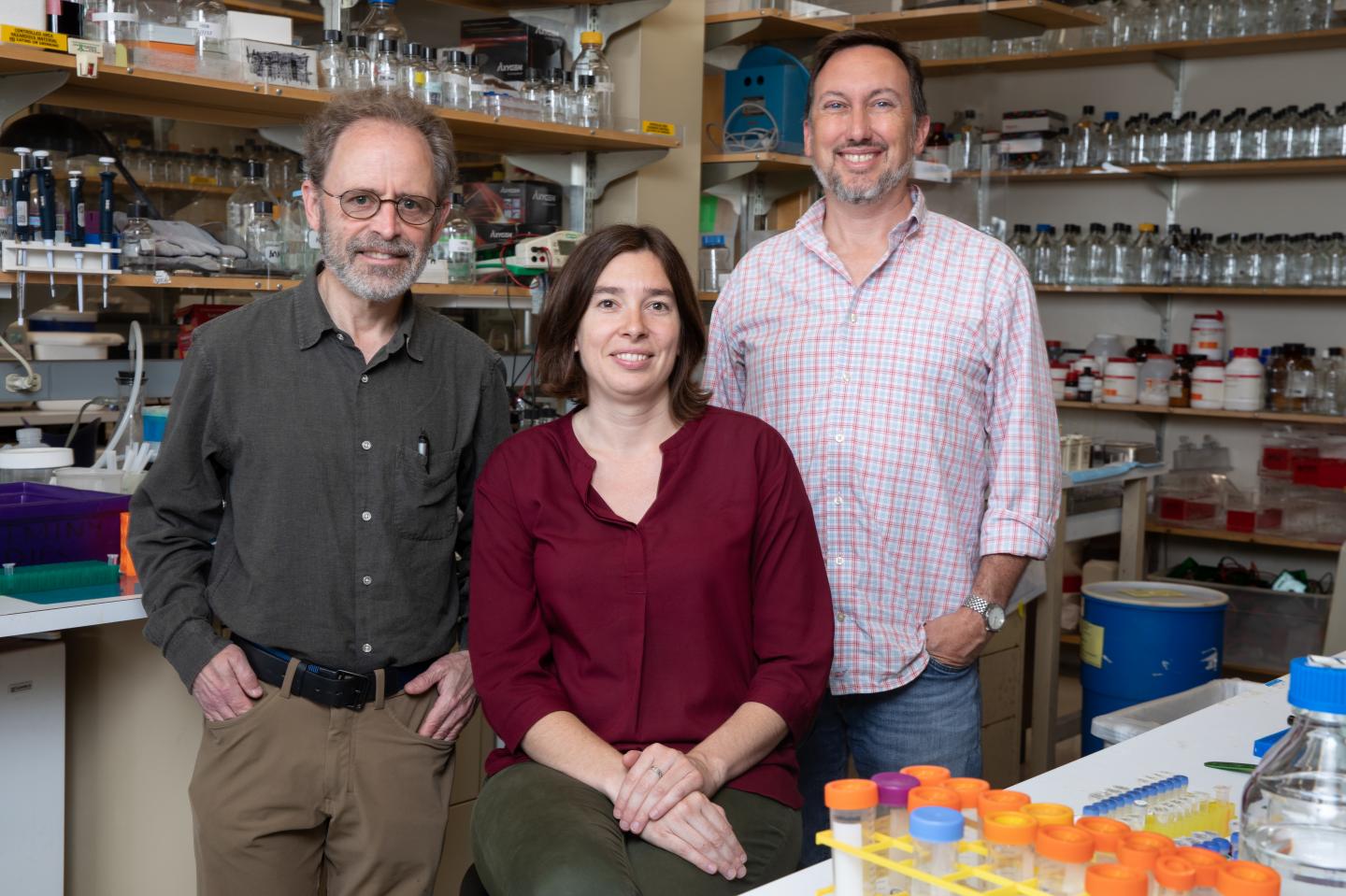Salk Author Image