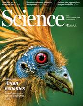 <i>Science</i> Cover
