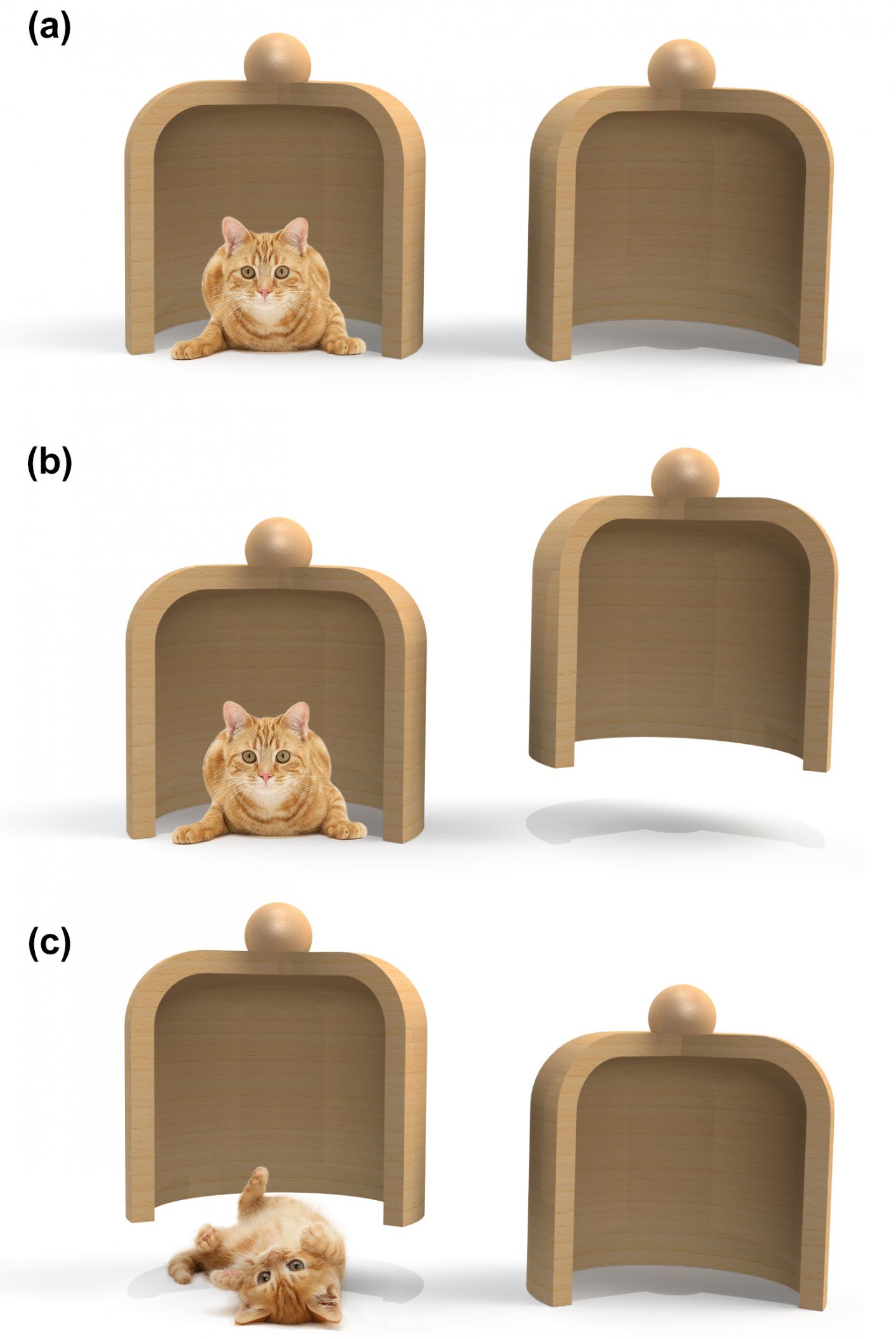 Measurement Scheme