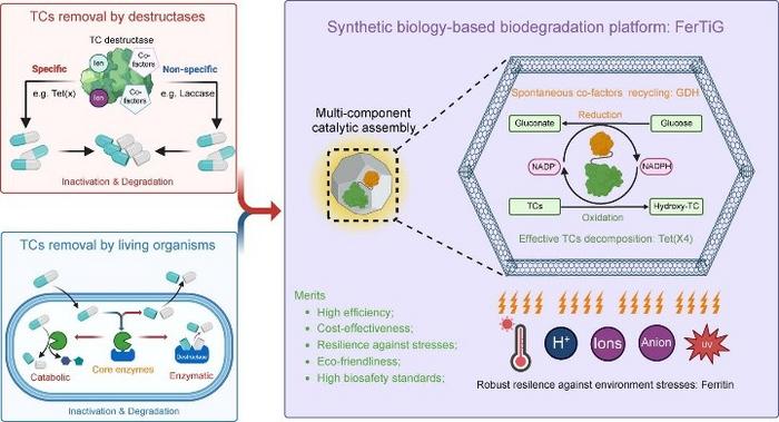 Graphical abstract