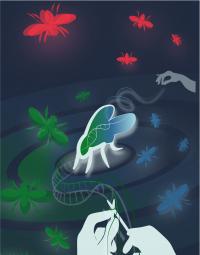 New genetic systems