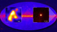 Supernovas W44 & IC 443 in Gamma Rays