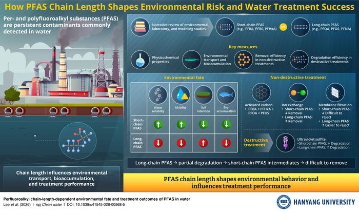 PFAS chain length influences how “forever chemicals” move through water