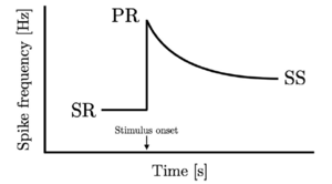 response graph