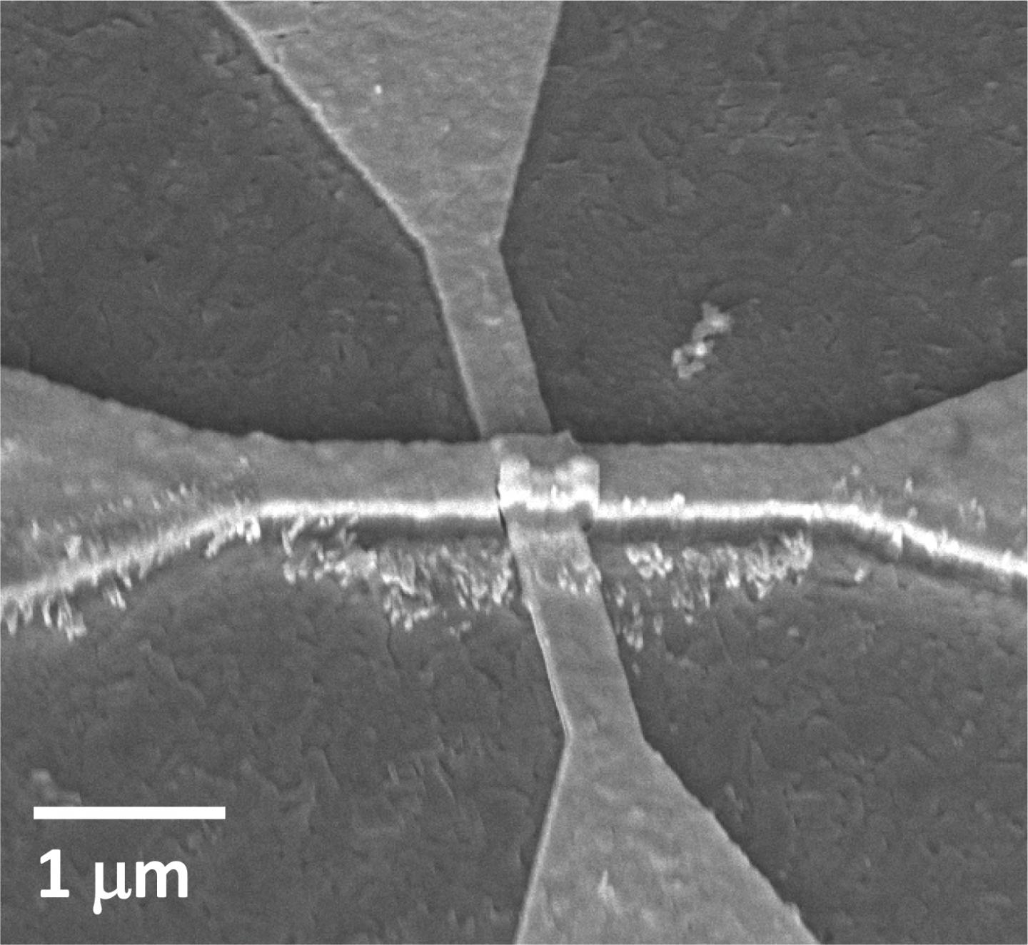 SEM artificial neuron device
