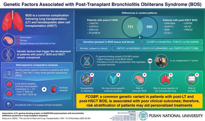 Fc gamma-binding protein variant is linked to poor outcomes in lung transplant patients