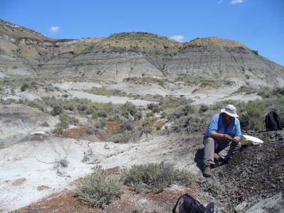 Hell Creek Formation