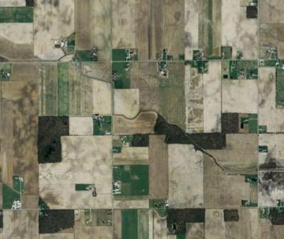 Insecticides from Genetically Modified Corn Present in Adjacent Streams