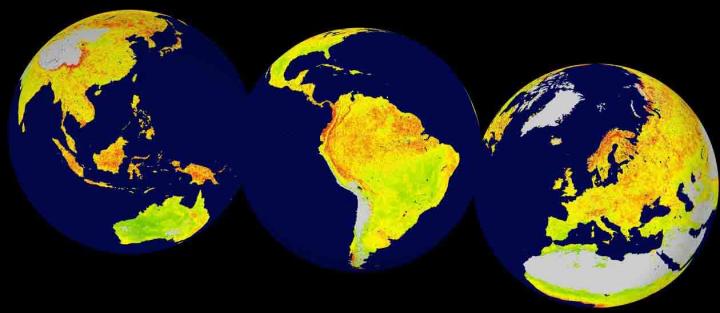 The World