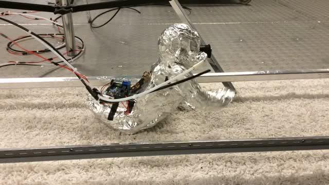 Robotic-Infant Crawling