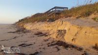 Exposed Sea Turtle Nest