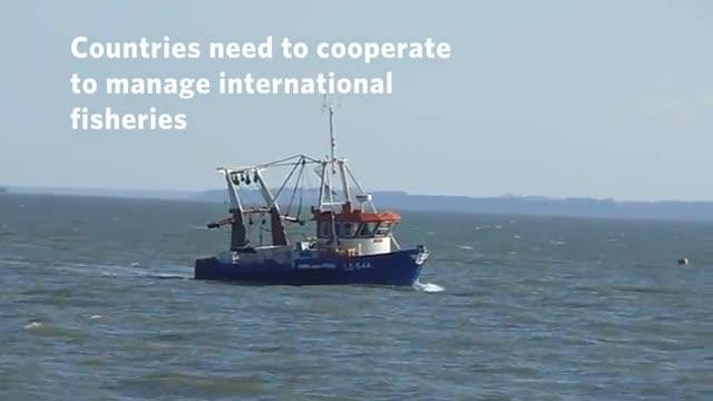 Species on the Move