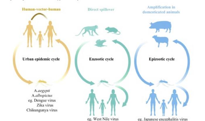 Suggested article image — Figure 2