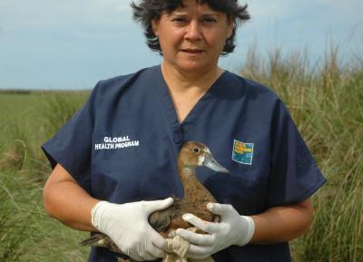 Dr. Hebe Ferreyra,   	 Wildlife Conservation Society 